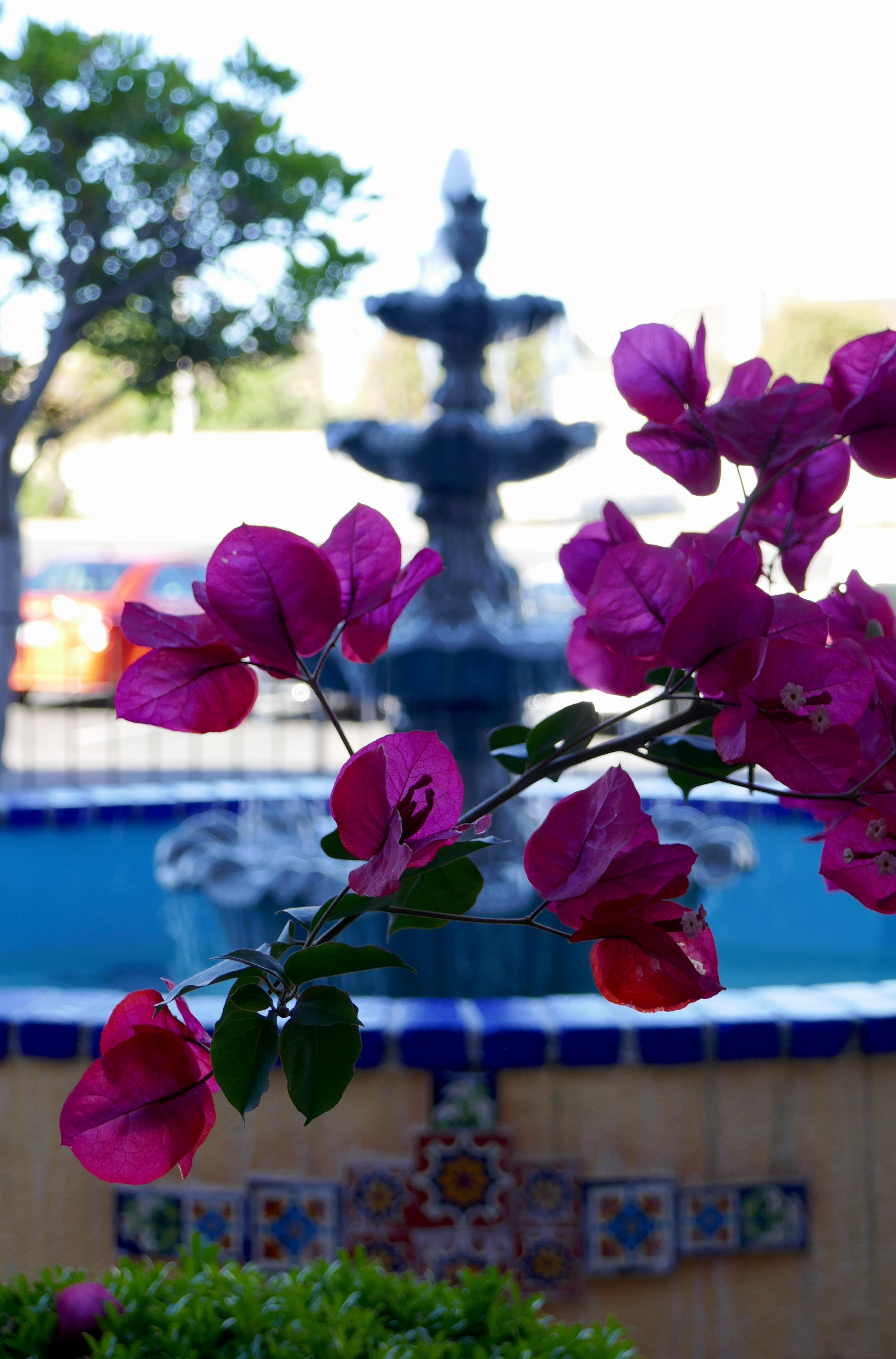 Best Western Golden Sails Hotel Long Beach Bagian luar foto