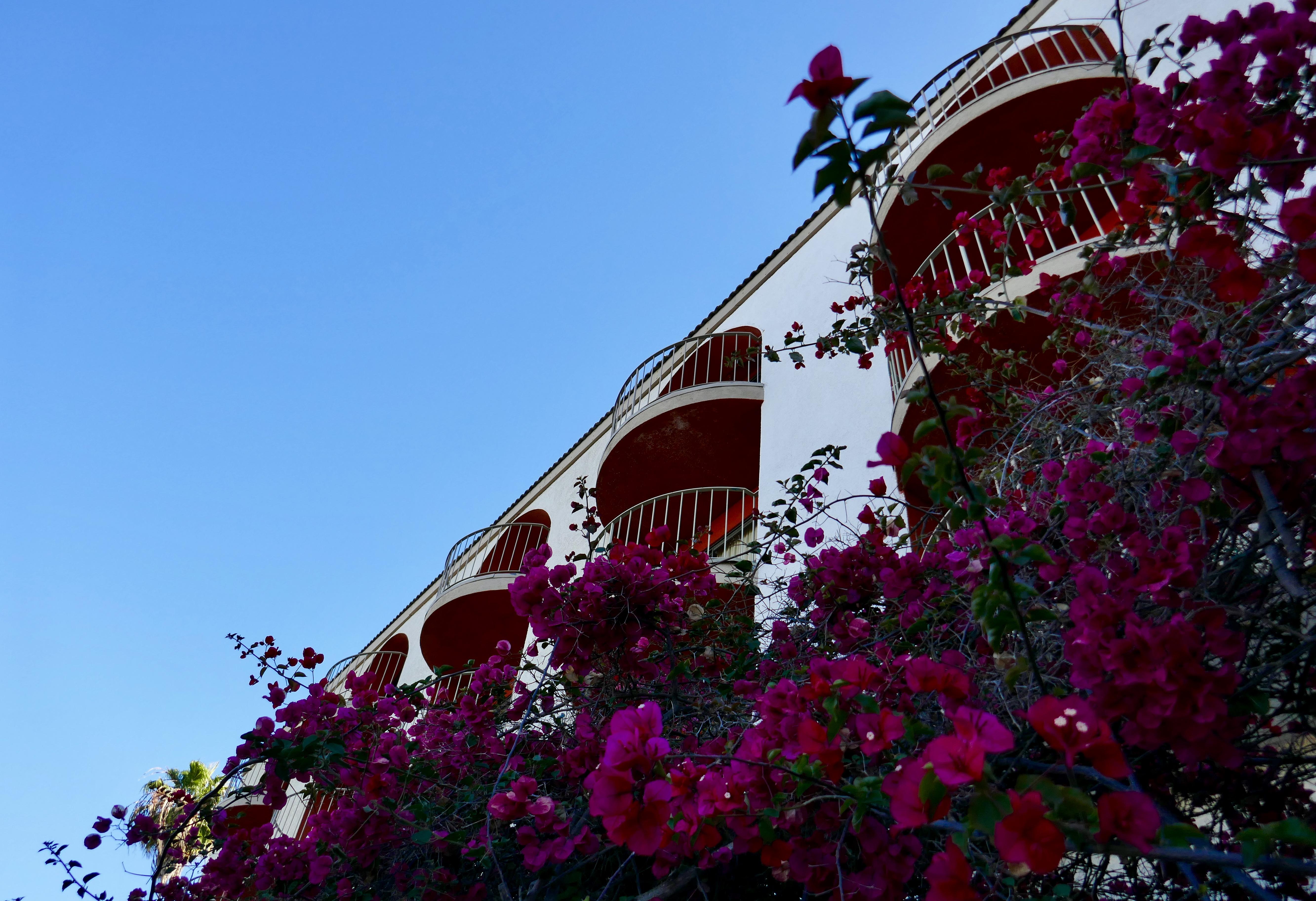 Best Western Golden Sails Hotel Long Beach Bagian luar foto