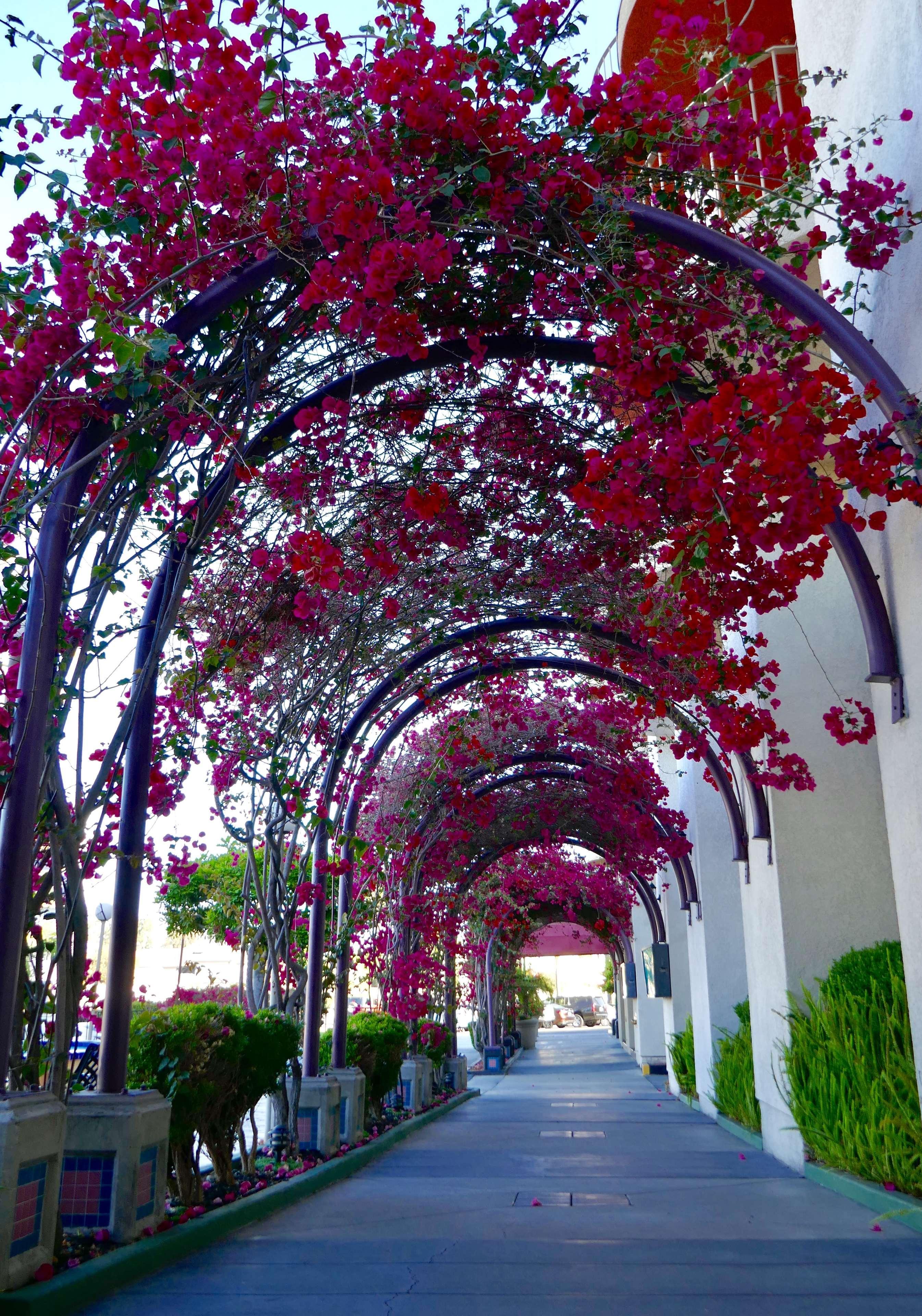 Best Western Golden Sails Hotel Long Beach Bagian luar foto